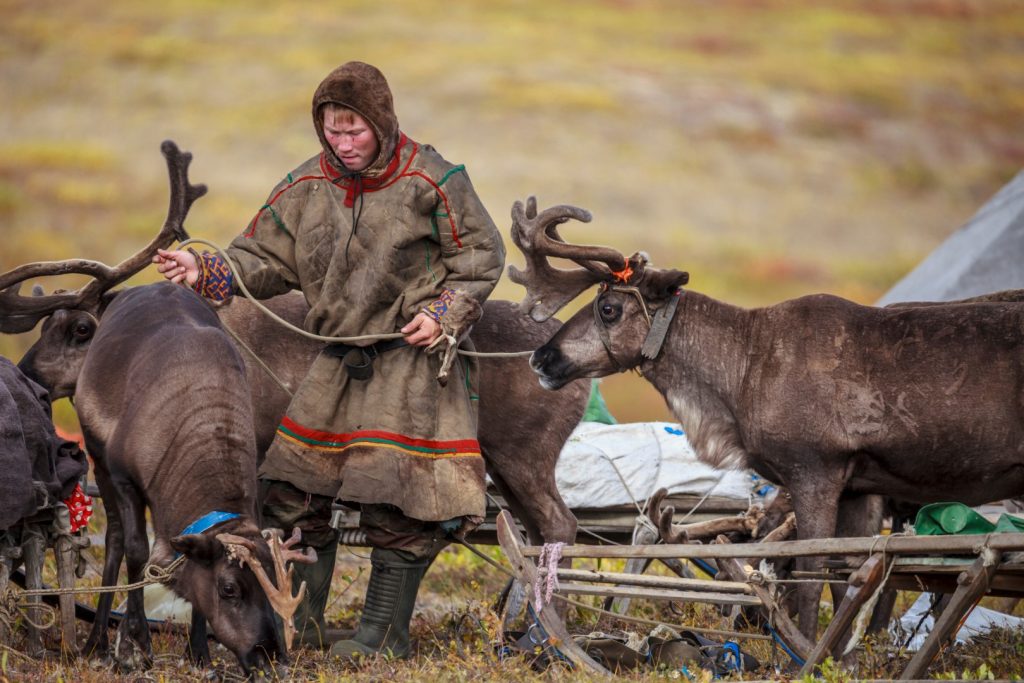tundra, open area, assistant reindeer breeder, the men in national clothes